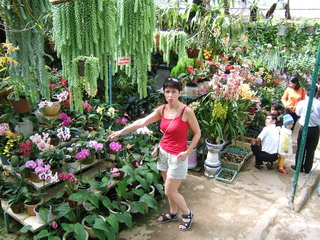 Вьетнам, парк Prenn. Выставка-продажа орхидей (фото)