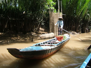 Экскурсия в дельту Меконга. Встречный транспорт (фото)