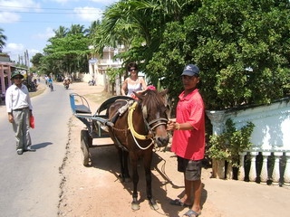 Экскурсия в детьту Меконга. Посадка на конный экипаж (фото)